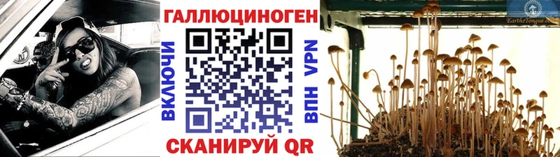 Псилоцибиновые грибы MAGIC MUSHROOMS  Котельники 