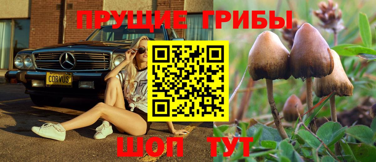 Псилоцибиновые грибы ЛСД Котельники